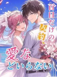 百日だけの契約、愛などいらない の小説カバー