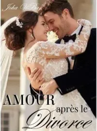 Couverture du roman L'amour après le divorce .