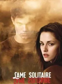 Couverture du roman Lame solitaire