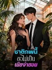 หน้าปกนวนิยาย ชาติภพนี้ขอไม่เป็นเมียจำยอม