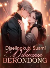Sampul Novel Diselingkuhi Suami Dibucinin Berondong