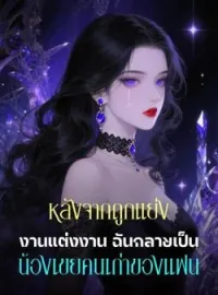 หน้าปกนวนิยาย หลังจากถูกแย่งงานแต่งงาน ฉันกลายเป็นน้องเขยคนเก่าของแฟน