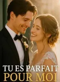 Couverture du roman Tu es parfait pour moi