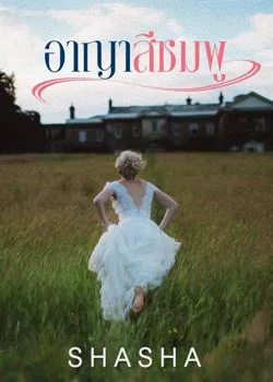ภาพปกนิยายเรื่อง อาญาสีชมพู