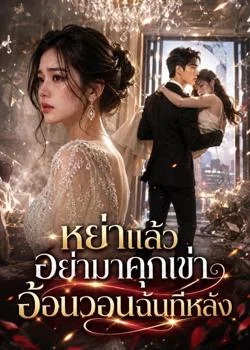 หน้าปกนวนิยาย หย่าแล้วอย่ามาคุกเข่าอ้อนวอนฉันทีหลัง