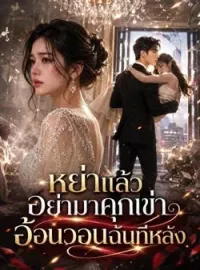 หน้าปกนวนิยาย หย่าแล้วอย่ามาคุกเข่าอ้อนวอนฉันทีหลัง