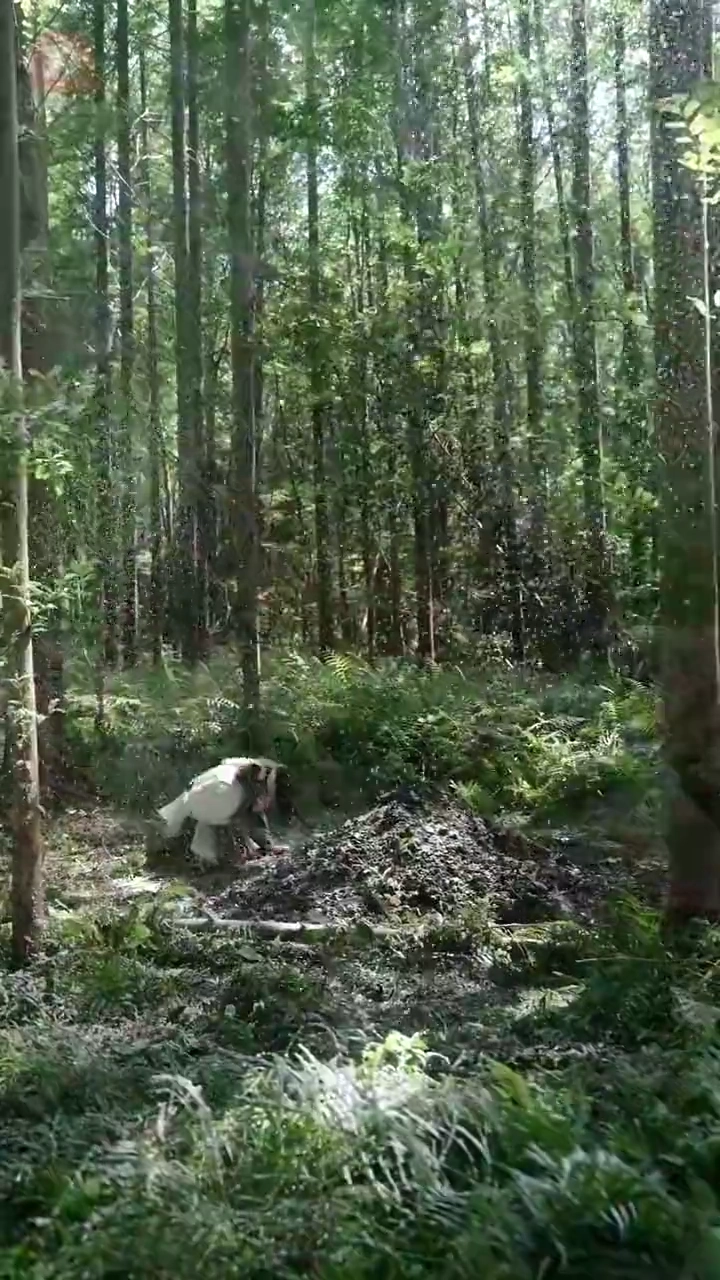 Nosso Fofo É Na Verdade um Sussurrador de FantasmasFoto