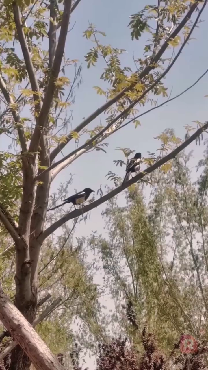 Queria que Você Fosse Minha EsposaFoto