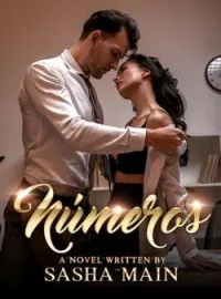 Portada de la novela Números