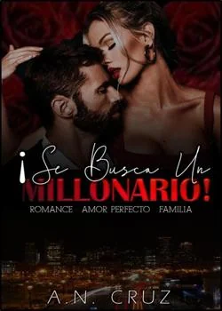 Portada de la novela ¡Se busca un millonario!