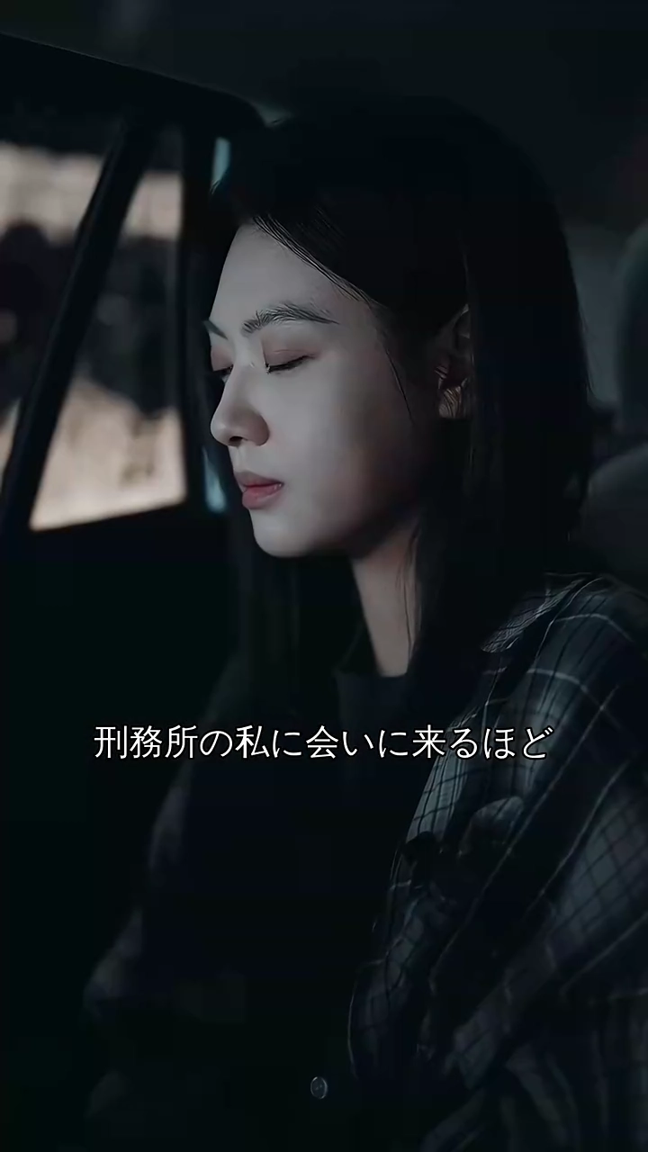 二度目の人生、私は償わせる写真