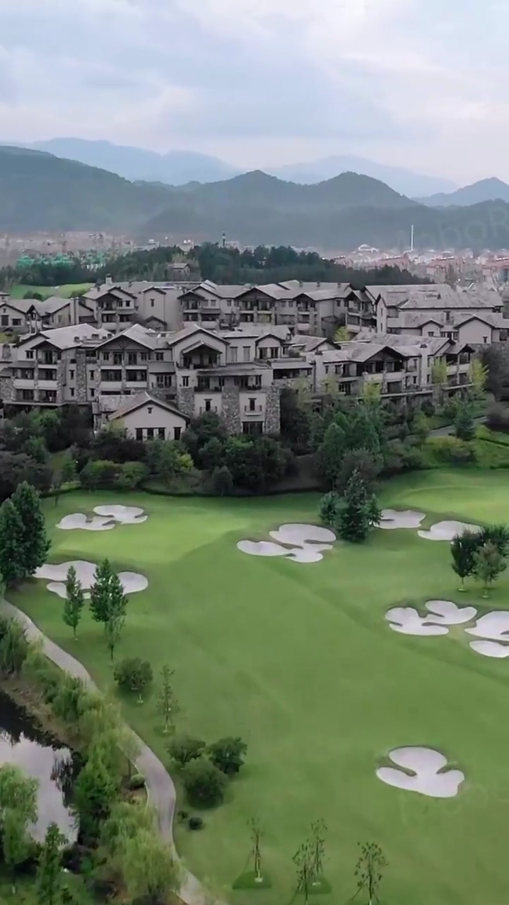 The Untamed HealerPhoto