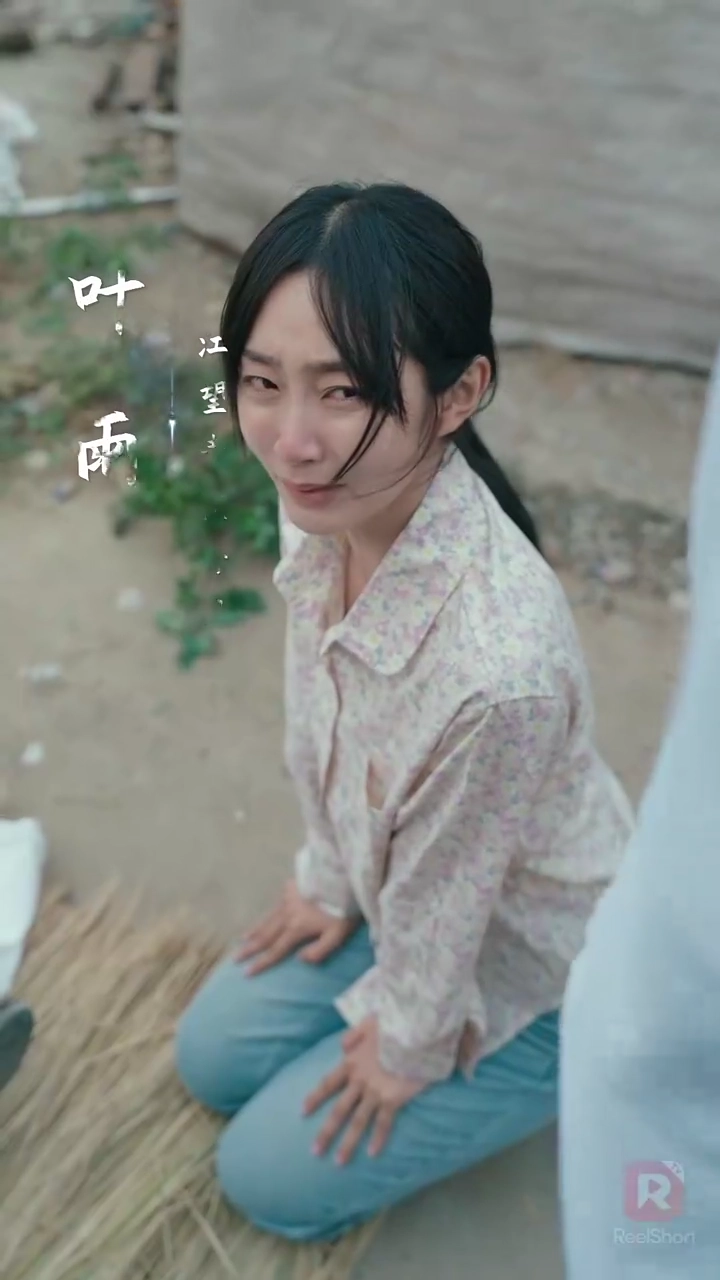 Folhas Voltam às RaízesFoto