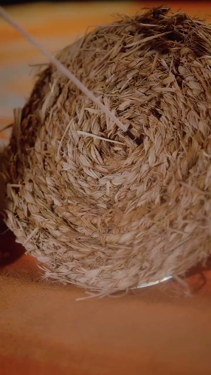 [Versão Dublada] Minha Madrasta RainhaFoto