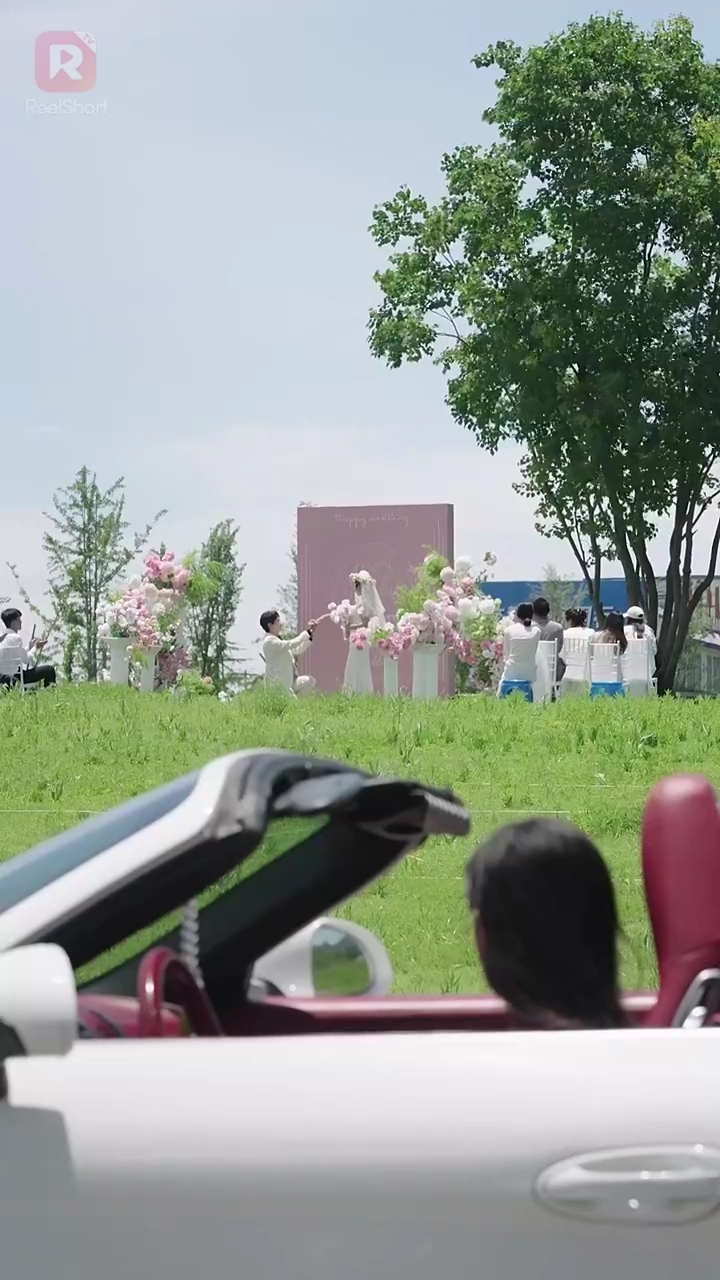 Raiz Forte, Flor Soberana.Foto