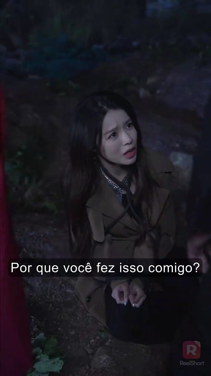 Vamos Viver e Amar NovamenteFoto