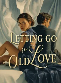 Letting Go of Old Love Novel Cover