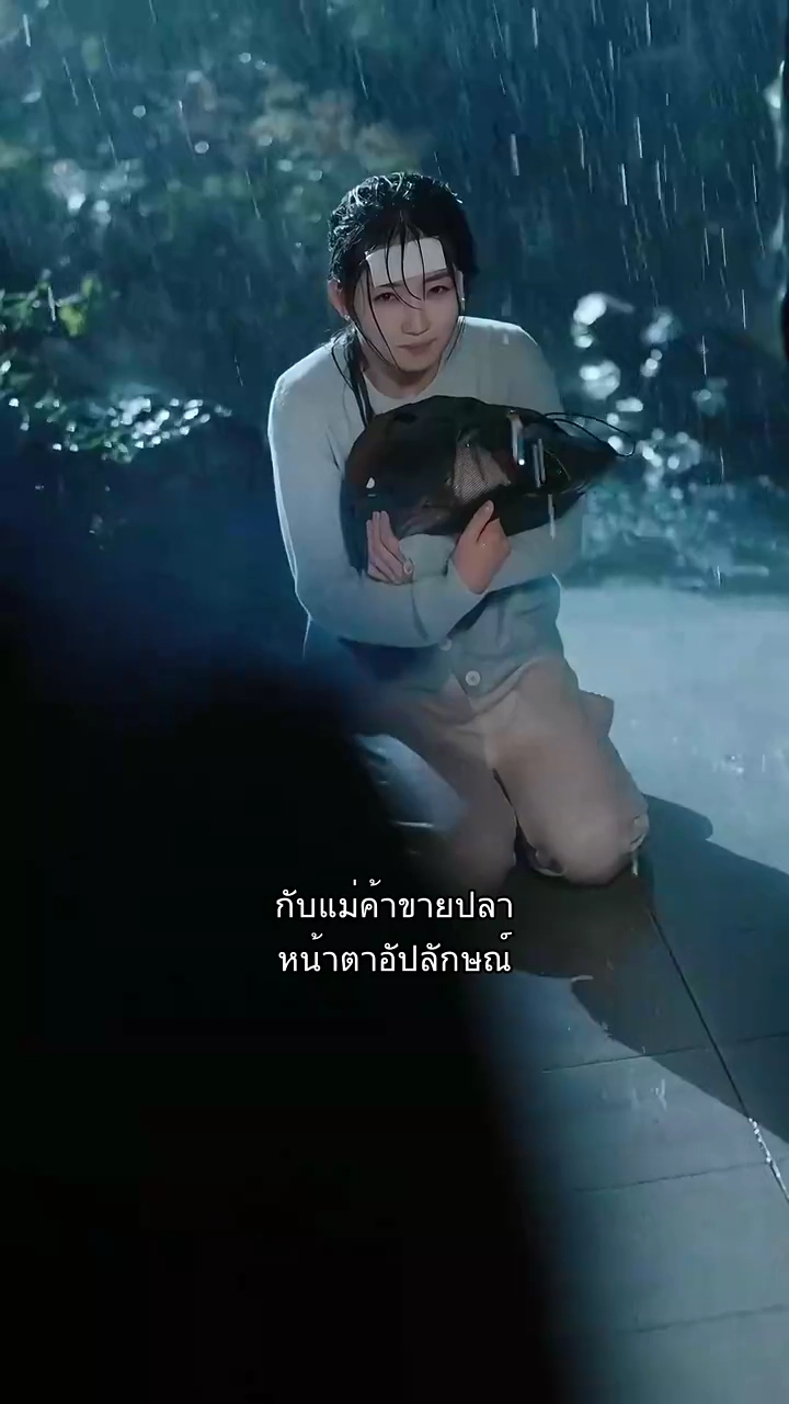 แม่เป็นแมวรูปภาพ