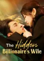 The Hidden Billionaire's Wife Review