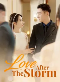 Love After The StormMini Series