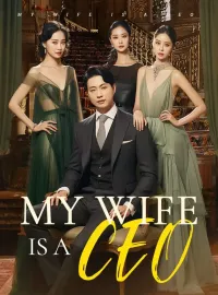 My Wife Is a CEOMini Series