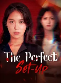 The Perfect Set-UpMini Series