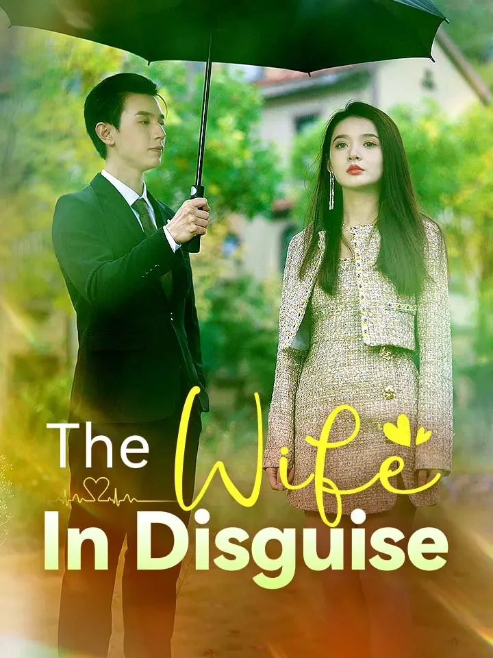 The Wife In DisguiseMini Series