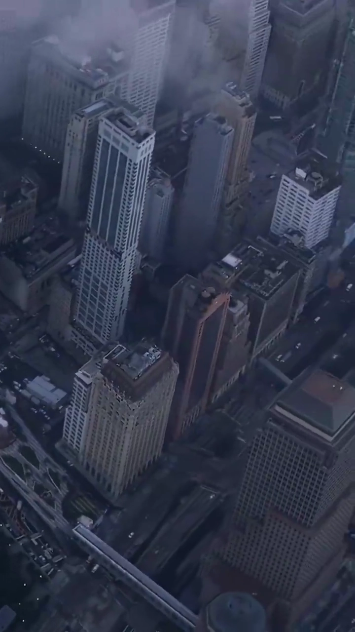 名門の婿入り写真