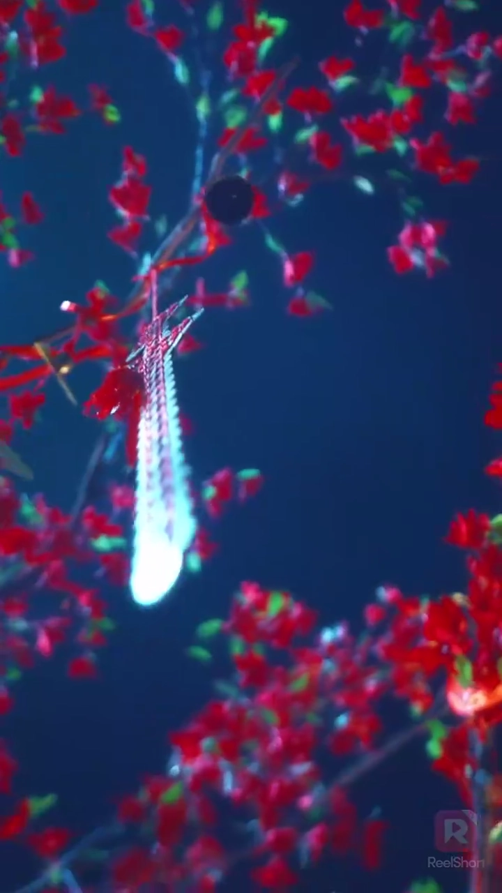 Coup de chance 2Photo