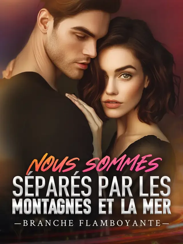 Couverture du roman Nous sommes séparés par les montagnes et la mer