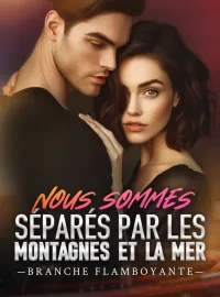 Couverture du roman Nous sommes séparés par les montagnes et la mer