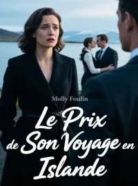 Le Prix de Son Voyage en Islande
