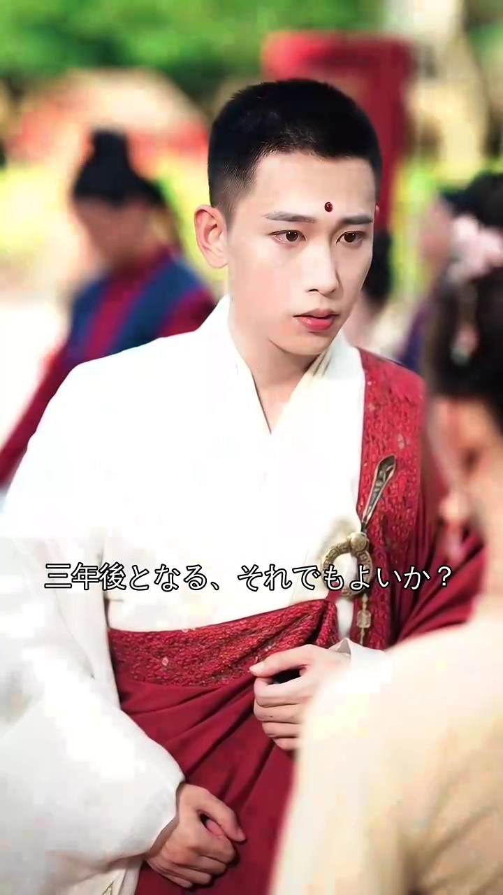 仏前の灯火に君は見えず写真