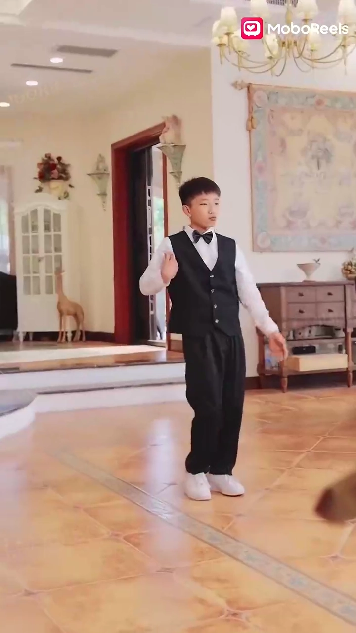 見えない翼写真