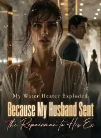 My Water Heater Exploded,Because My Husband Sent the Repairman to His Ex Novel Cover