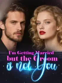 I'm Getting Married but the Groom is not You Novel Cover
