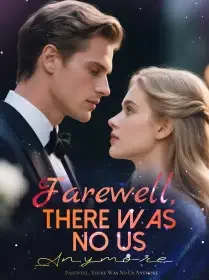 Farewell, There Was No Us Anymore Novel Cover