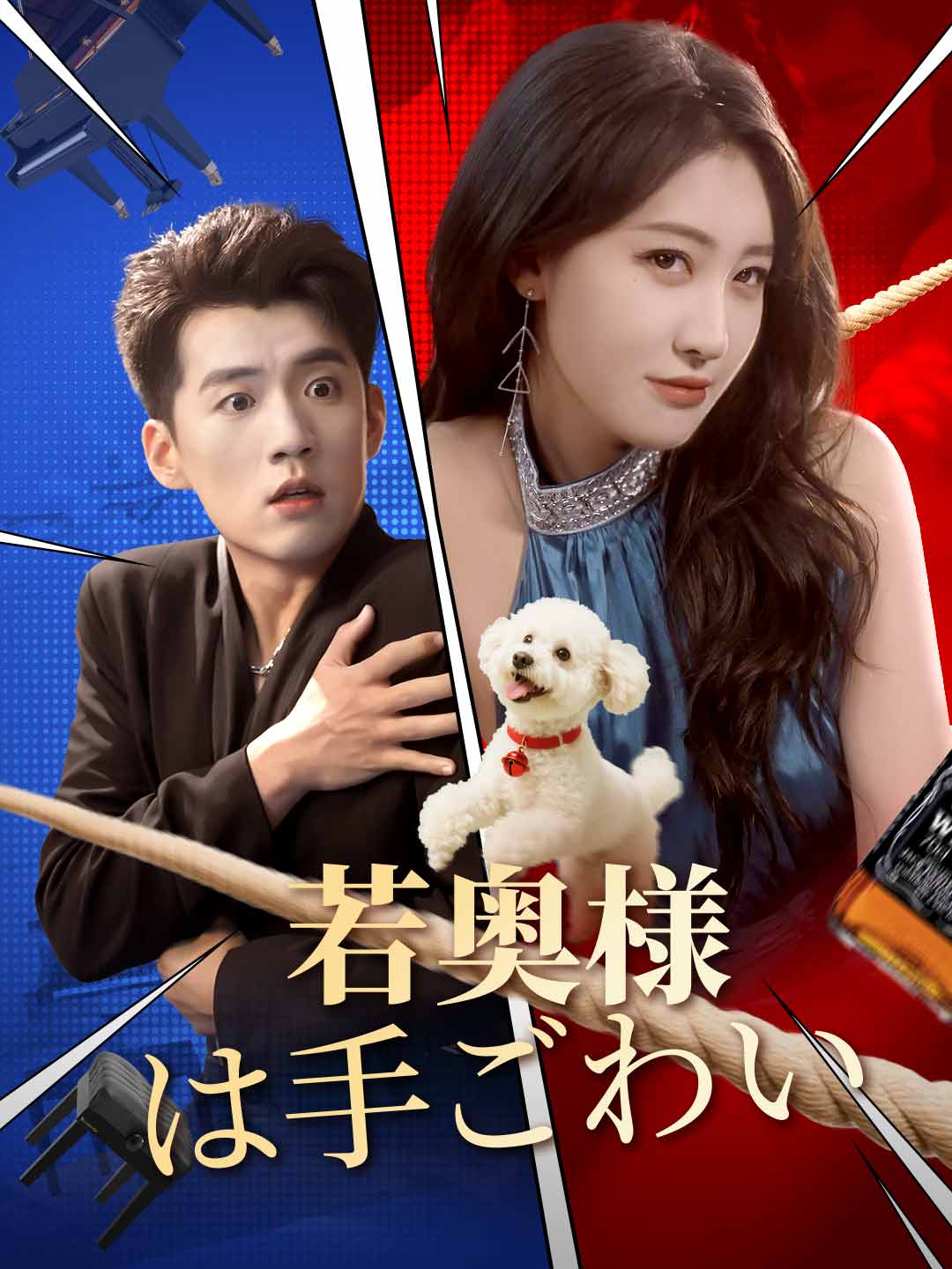 若奥様は手ごわいミニシリーズ