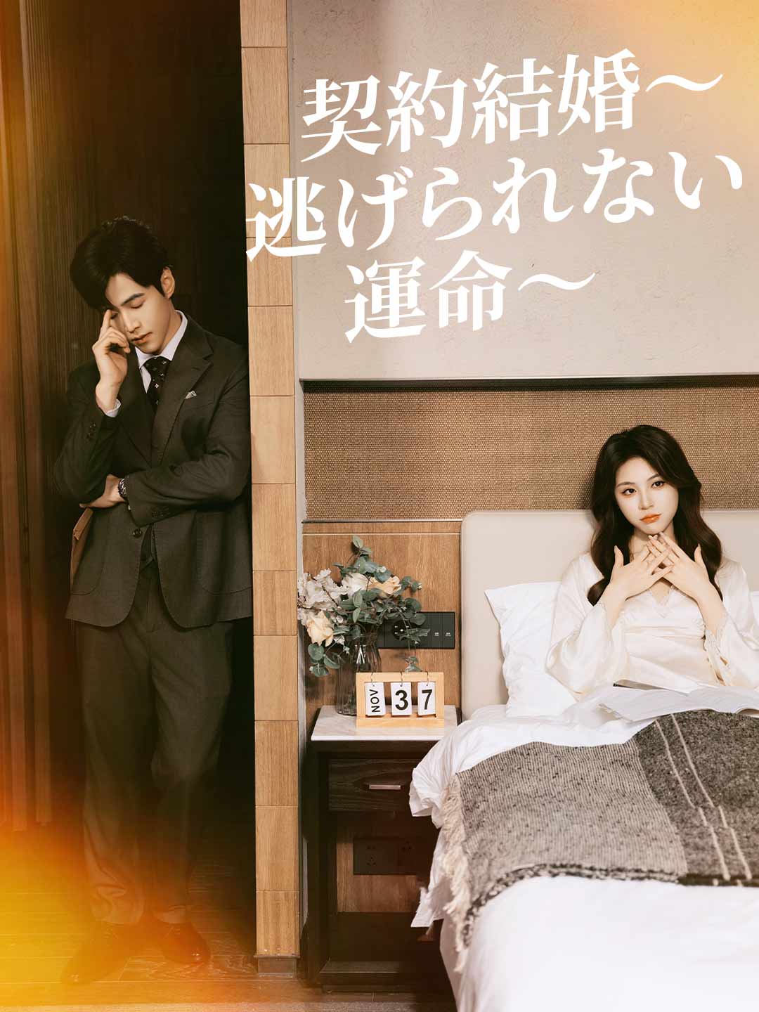 契約結婚～逃げられない運命～ミニシリーズ