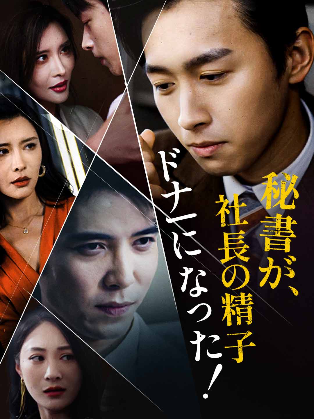 秘書が、社長の精子ドナーになった！ミニシリーズ