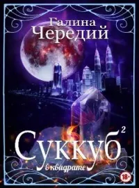 Обложка новеллы Суккуб в квадрате