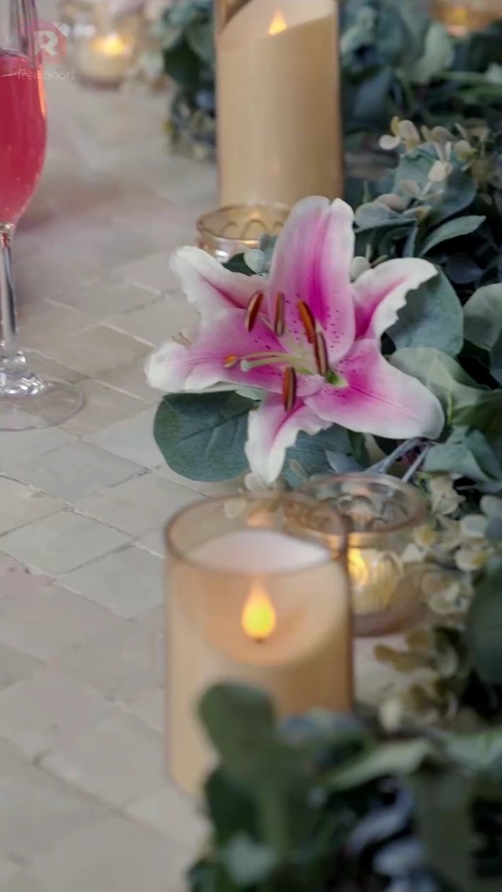 อัลฟ่าที่เธอปรารถนารูปภาพ