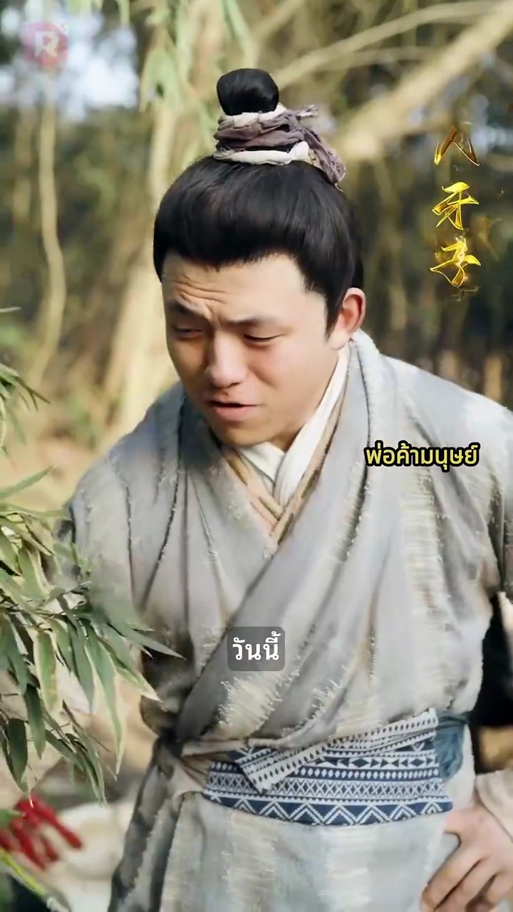 องค์หญิงพเนจรรูปภาพ