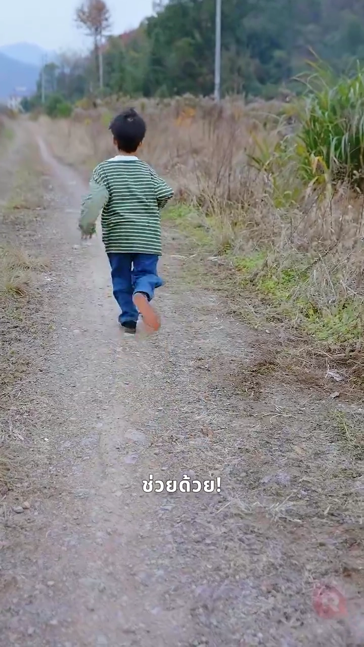 หัวใจกับความเสียใจรูปภาพ