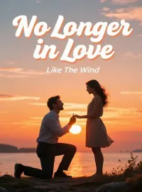 No Longer in Love Novel Cover