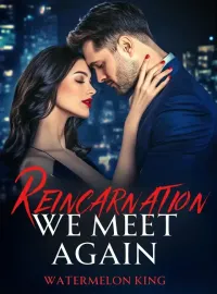 Reincarnation: We Meet Again Novel Cover