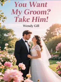 You Want My Groom? Take Him Novel Cover