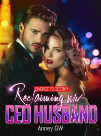 Divorce to Destiny: Reclaiming My CEO Husband Novel Cover