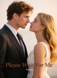 Please Wait For Me Novel Cover