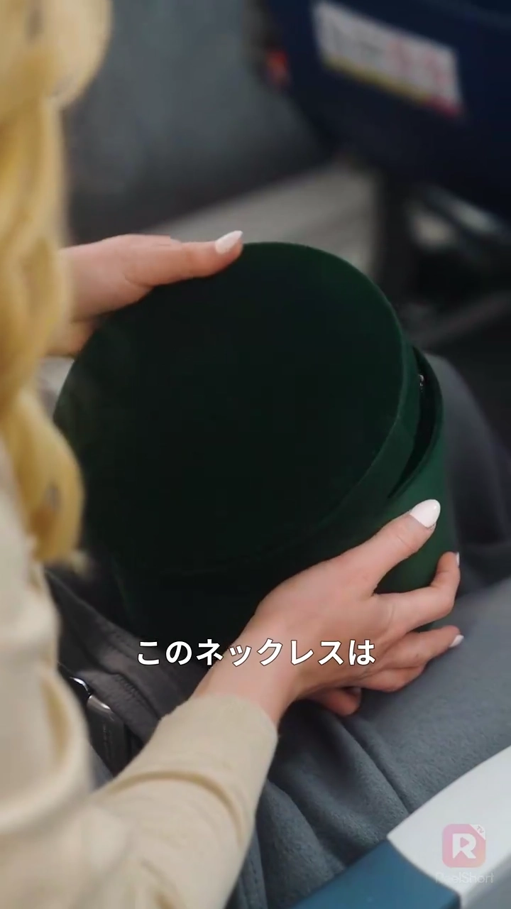 (吹き替え) 空飛ぶ修羅場写真